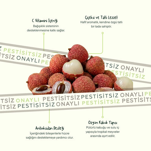 Liçi Meyvesi 100 Gr Pk