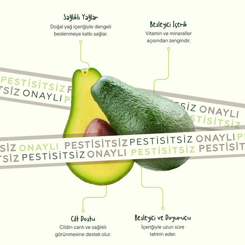 Avokado 10 Adet (100-140 Gr Üstü)