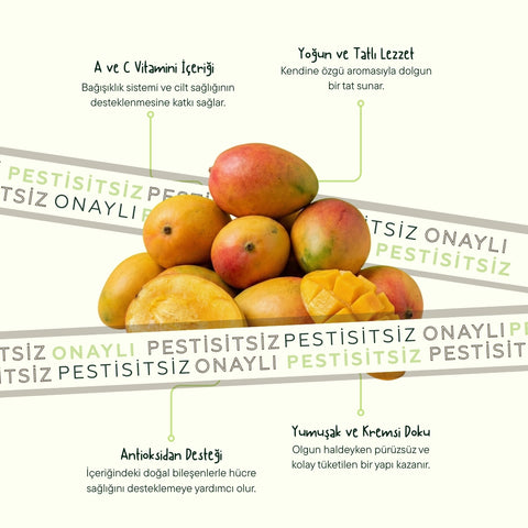 Mango Adet (300 Gr Üstü)