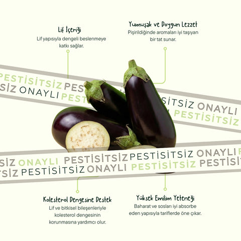 Patlıcan 500 Gr Pk