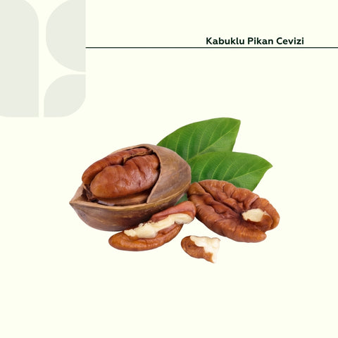 Kabuklu Pikan Ceviz 500 Gr