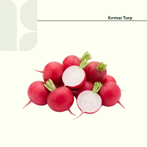 Kırmızı Turp 500 Gr