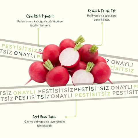 Kırmızı Turp 500 Gr