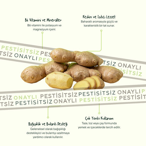 Zencefil 500 Gr Pk