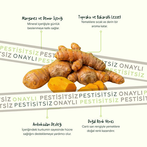 Zerdeçal 100 Gr Pk