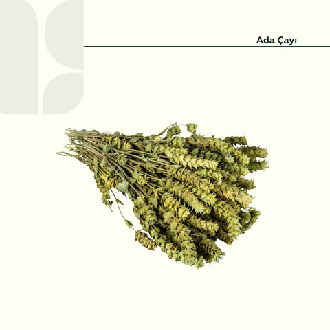 Ada Çayı (Bağı 50 Gram)