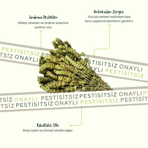 Ada Çayı (Bağı 50 Gram)