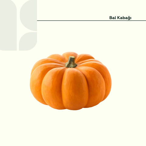 Bal Kabaği 3 Kg Üstü Adet