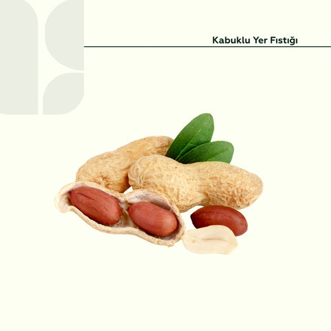 Kabuklu Yer Fıstığı 500 Gram Paket