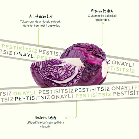 Mor Lahana 1,5 Kg Üstü Adet