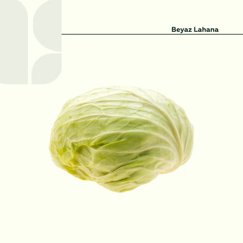 Lahana Beyaz 1,5 Kg Üstü Adet