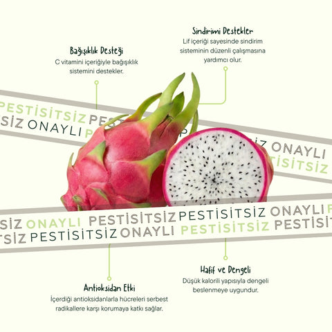 Ejder Meyvesi (Pitahaya) Beyaz Adet