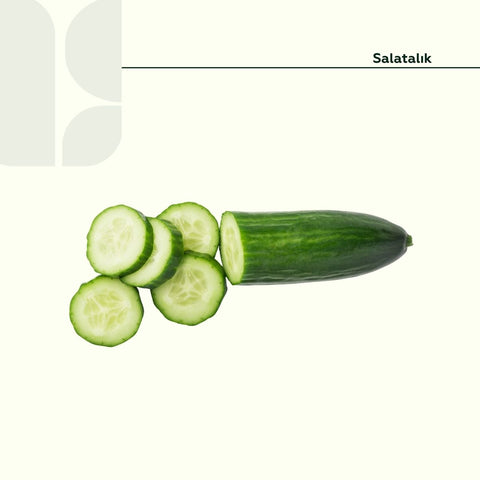 Salatalık 500 gr.Paket