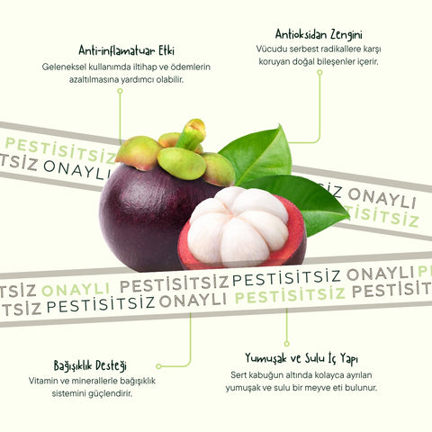 Mangosten Adet