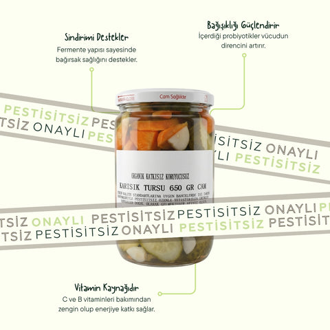 Karışık Turşu 650 GR.CAM