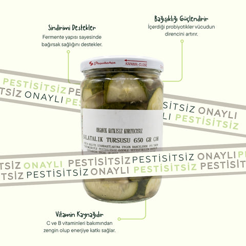 Salatalık Turşusu 650 GR.CAM