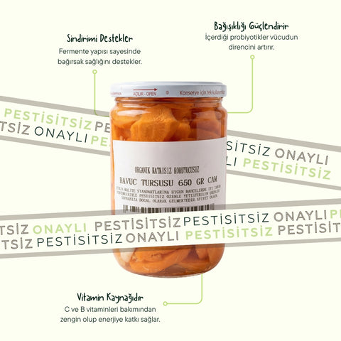 Havuç Turşusu 650 GR.CAM