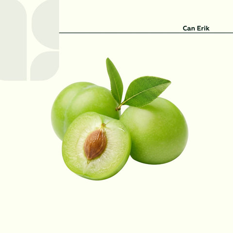 Can Erik 50 Gr Paket
