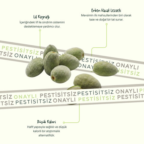 Çağla 250 Gr Paket