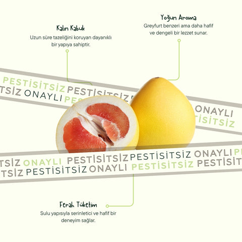 Pomelo Şadok Adet (Ağaç Kavunu)