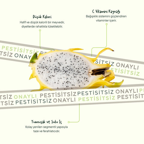 Ejder Meyvesi Sarı Adet
