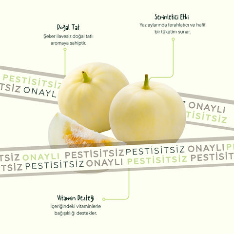 Beyaz Kavun 700 Gr Üstü Adet