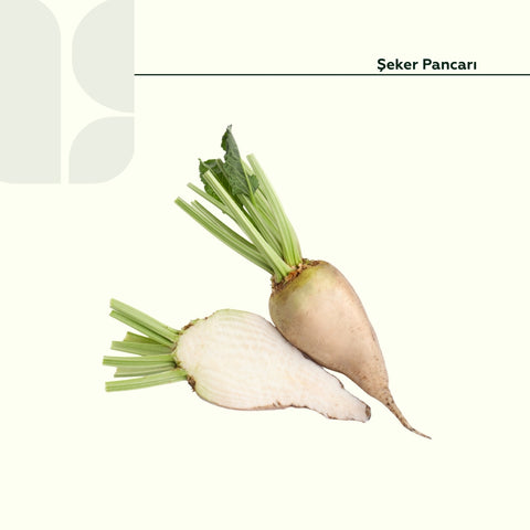 Şeker Pancari 500 Gr Paket