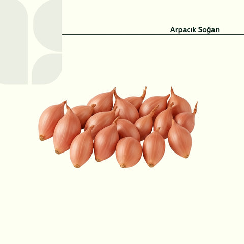 Arpacik Soğan 500 Gr Paket