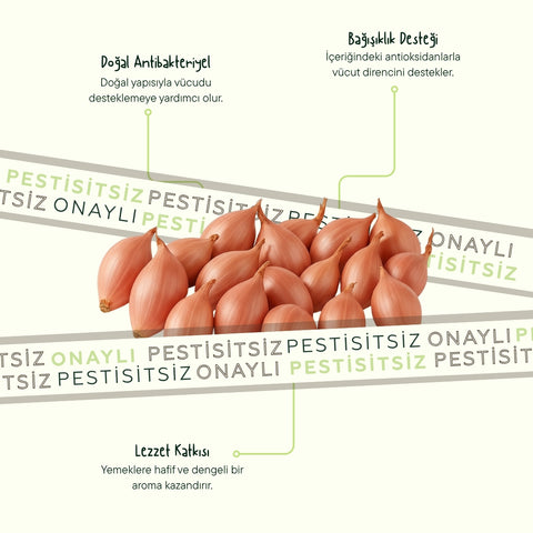 Arpacik Soğan 500 Gr Paket