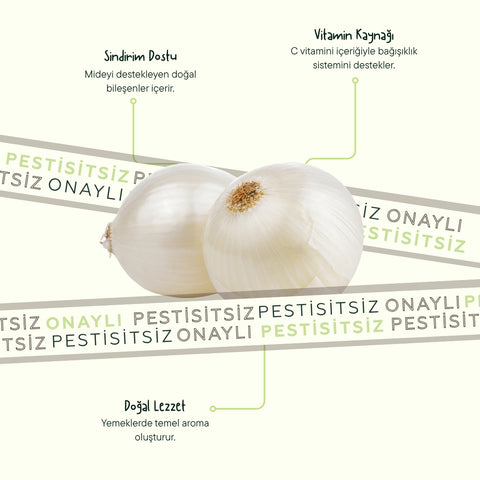 Beyaz Soğan 500 Gr Paket