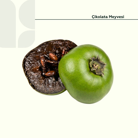 Çikolata Meyvesi 70 Gr Üstü