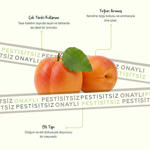 Dalından Taze Kayısı 250 Gr Paket