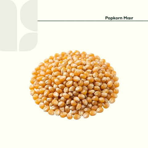 Popkorn Misir 500 Gr Paket