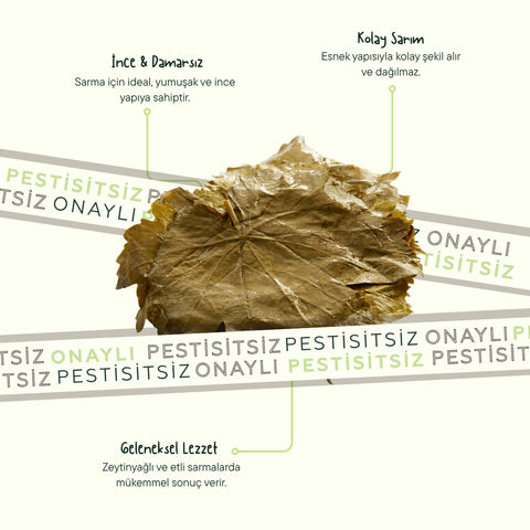 Geleneksel Salamura Asma Yaprağı 500 Gr Paket
