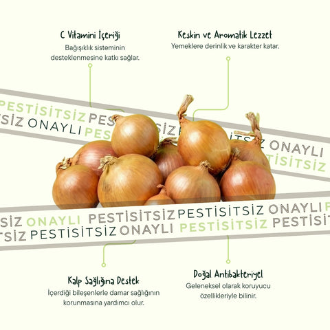 Kuru Soğan 500 Gr